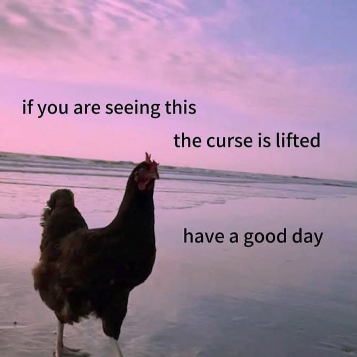 A cartoon chicken announcing the curse is lifted — have a good day.